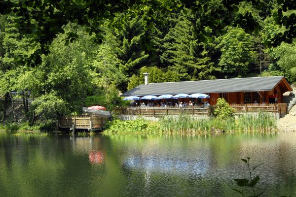 Waldhaus am See (Willingen)